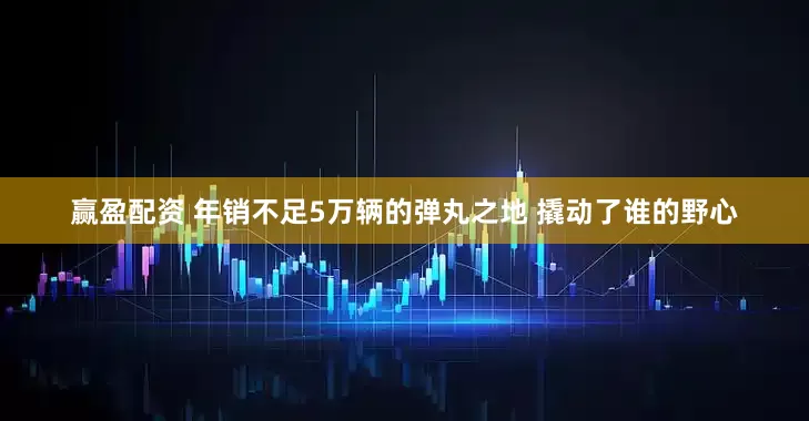 赢盈配资 年销不足5万辆的弹丸之地 撬动了谁的野心